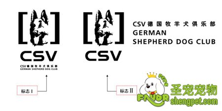 CSV耳号刺青的7大条件