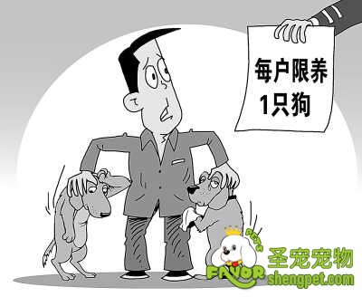 北京限制养犬都有哪方面