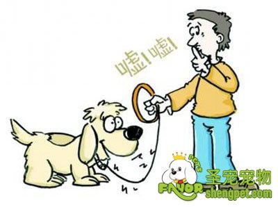 养狗在公告场所的行为规范