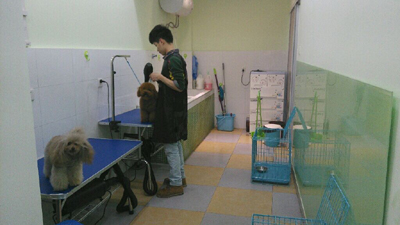 常州宠物店内图3