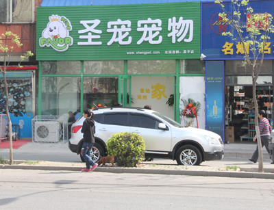 昌平宠物店图2