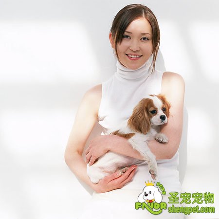 对狗狗的管制和抱狗狗的方法