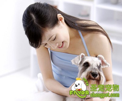 如何照顾断奶后的小狗狗