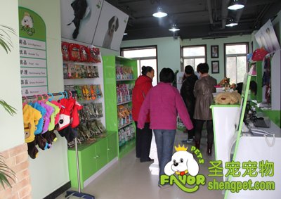 宠物店