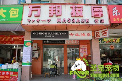 圣宠宠物总部帮加盟商选好的宠物店店面