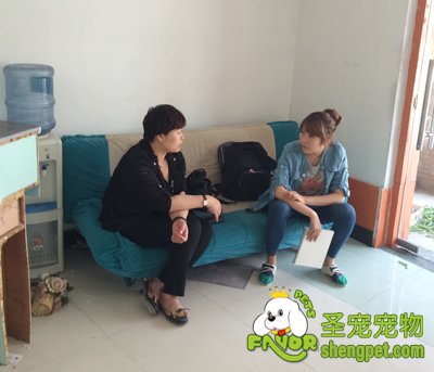 圣宠宠物总部帮加盟商进行交谈