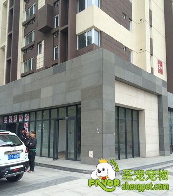 ʥЯͬŮʿһȷгѡַ