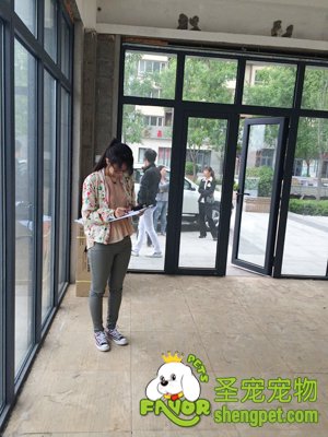 圣宠宠物连锁派人对选好的宠物店进行装修设计测量