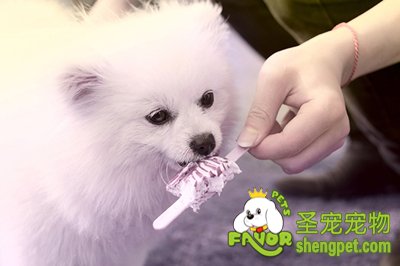 狗狗口腔内有异物该怎么办