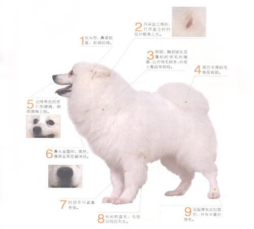 �ձ�����Ȯ