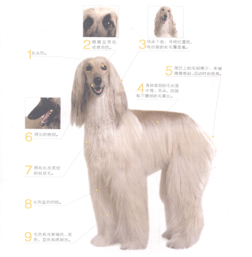 ��������Ȯ