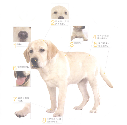 ����������Ȯ