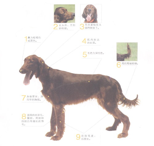 ������ѩ��Ȯ