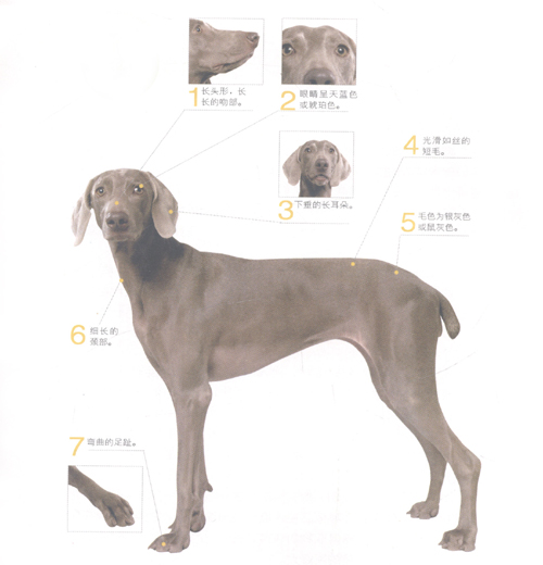 ������Ȯ