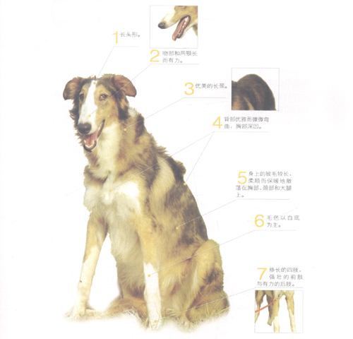 �ն�����Ȯ