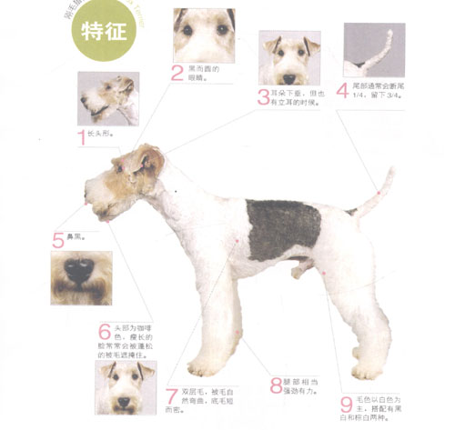 ��ë�Ժ���Ȯ