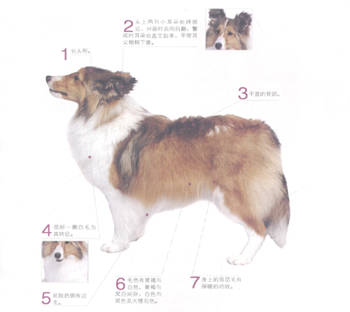 ϲ�ֵ�����Ȯ