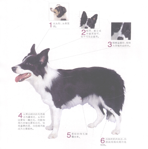 �߾�����Ȯ