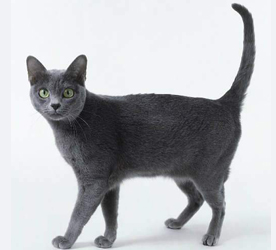 ������è