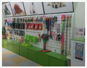 常州新北万达宠物店内景
