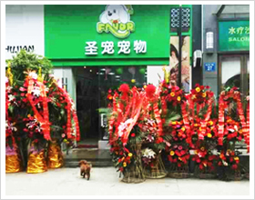 常州新北万达宠物店门头