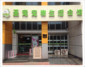 天津宠物店门头