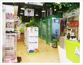 上海宠物店内景