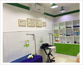 巴中宠物店内景