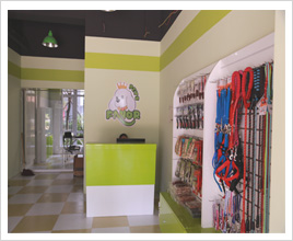 北京通州宠物店内景