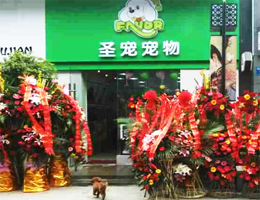 常州宠物店店铺