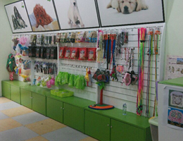 常州宠物店图片1