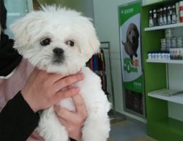 常州宠物店图片3