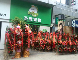 常州宠物店开业