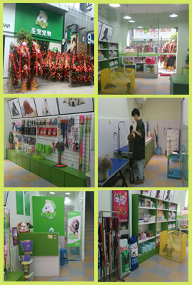 圣宠宠物2014第二届明星店铺参选-常州新北万达店