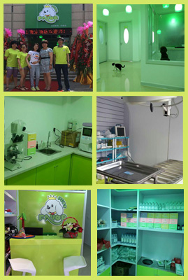 圣宠宠物2014第二届明星店铺参选-无锡滨湖万达广场店