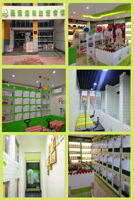 圣宠宠物2014第二届明星店铺参选-天津河西通达尚城店