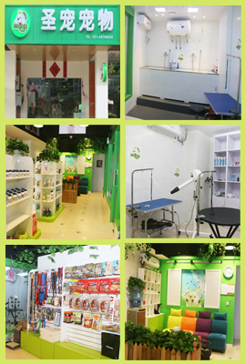 圣宠宠物2014第二届明星店铺参选-上海浦东新区龙阳路店