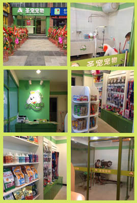 圣宠宠物2014第二届明星店铺参选-乐山市中翡翠国际店