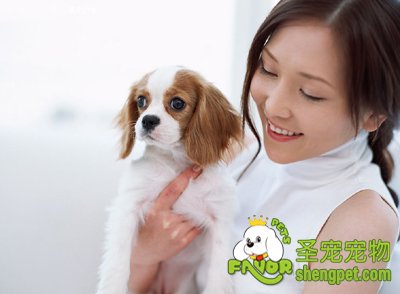 你知道怎样抱狗狗吗