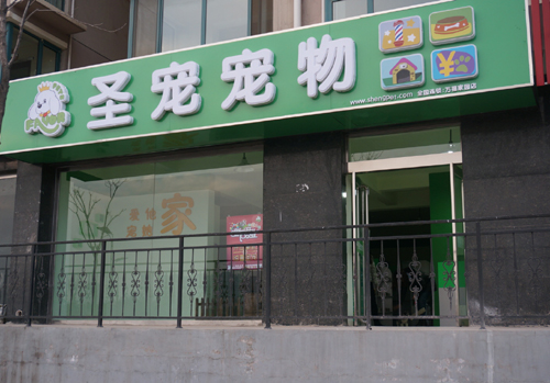 忻州圣宠宠物店