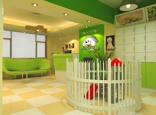 开什么样的宠物店赚钱?