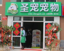 圣宠宠物北京延庆宠物店