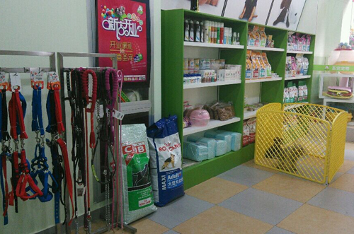 圣宠宠物江苏常州万达宠物店