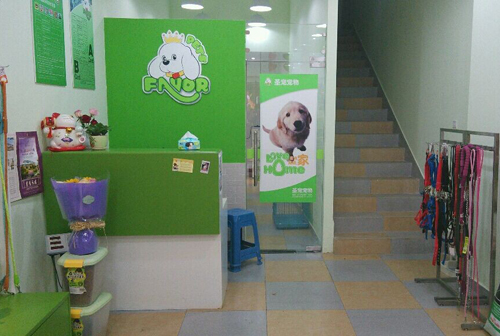 圣宠宠物江苏常州万达宠物店