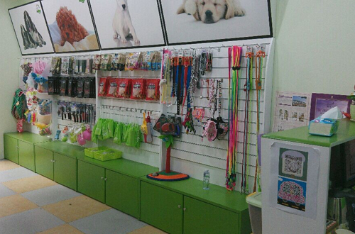 圣宠宠物江苏常州万达宠物店