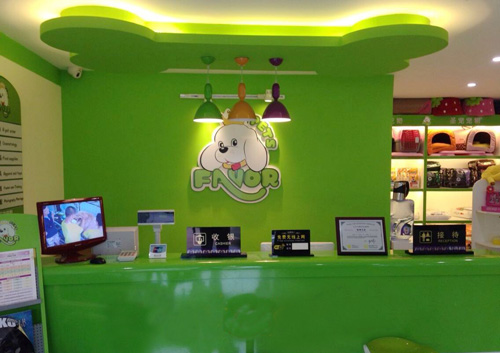 圣宠宠物天津河西区宠物店