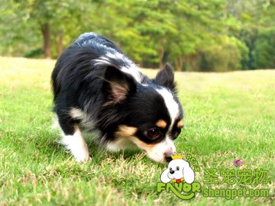 关于Ta的十个为什么