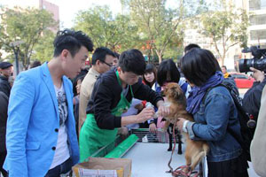 宠物公益活动