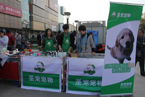 宠物公益活动