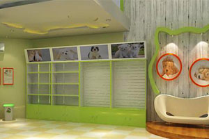 专为宠物店设计的装修设计团队